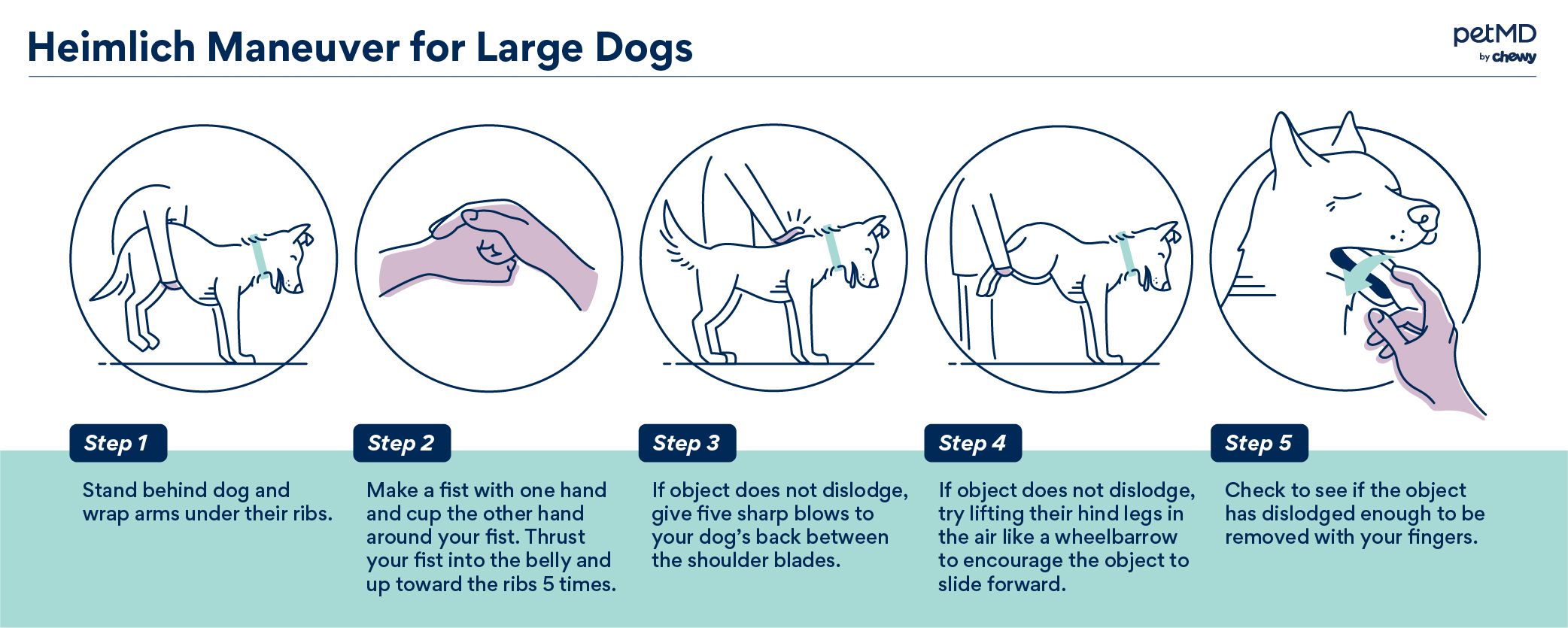 Signs that a hot sale dog is choking